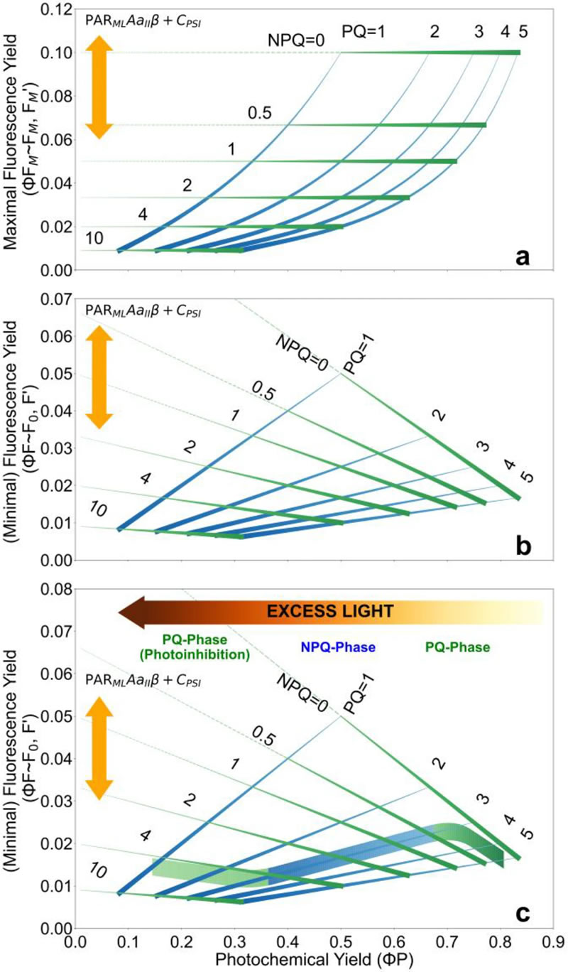 圖425091101.jpg 68ca8d8f138ab.jpg