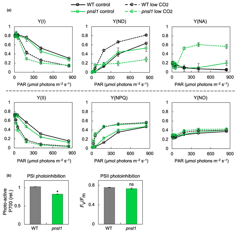 圖425091901.jpg 圖425091901.jpg
