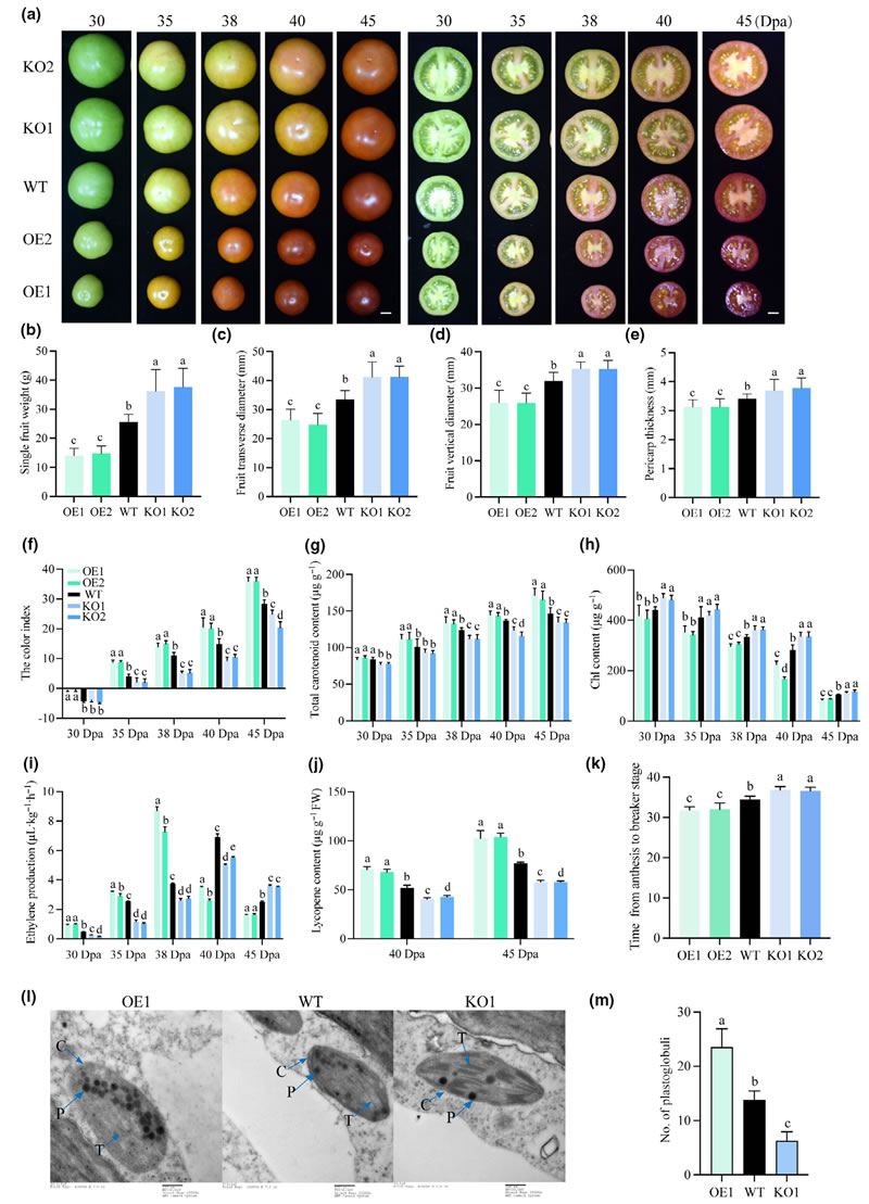 圖725091901.jpg 圖725091901.jpg