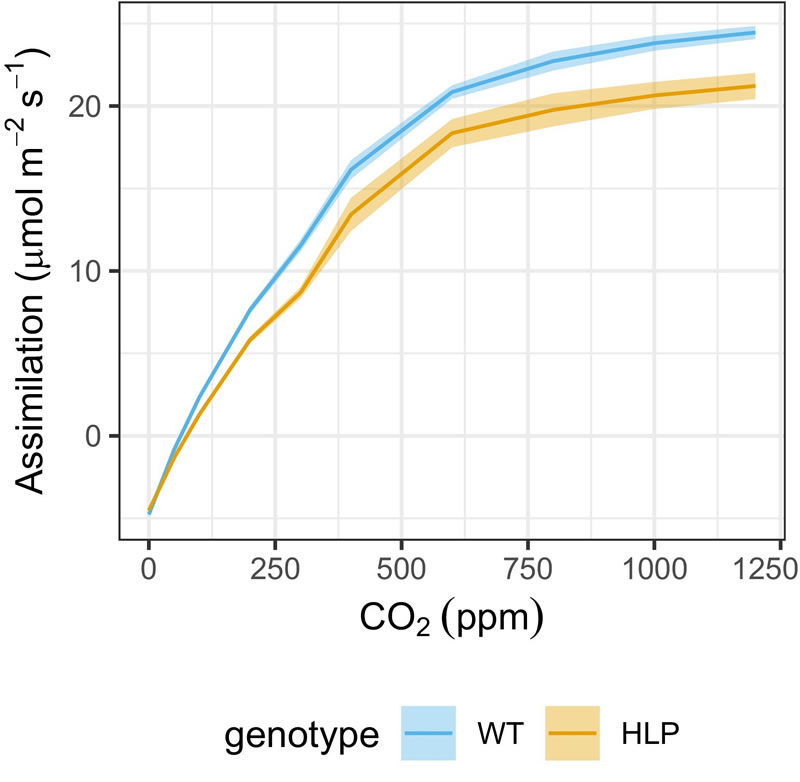 圖325092201.jpg 圖325092201.jpg