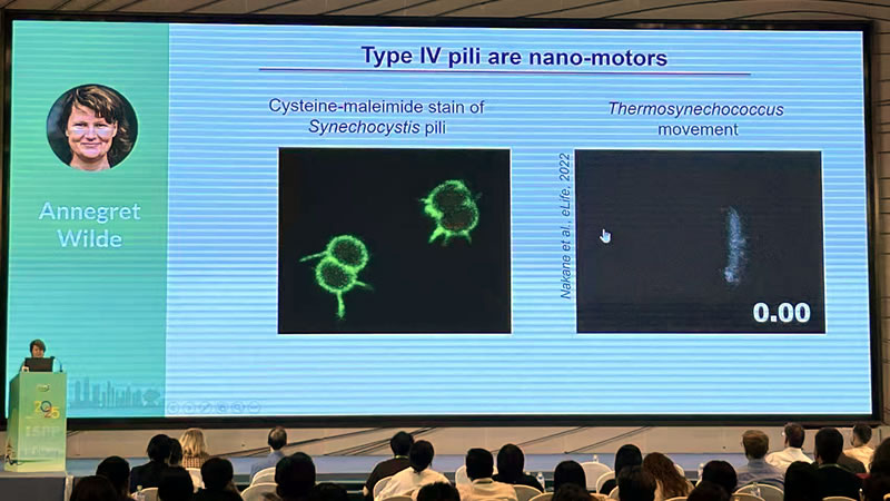 圖4251021ghyh.jpg 圖4251021ghyh.jpg
