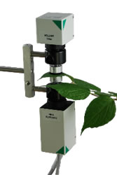 DUALPAM10011.jpg DUALPAM10011.jpg