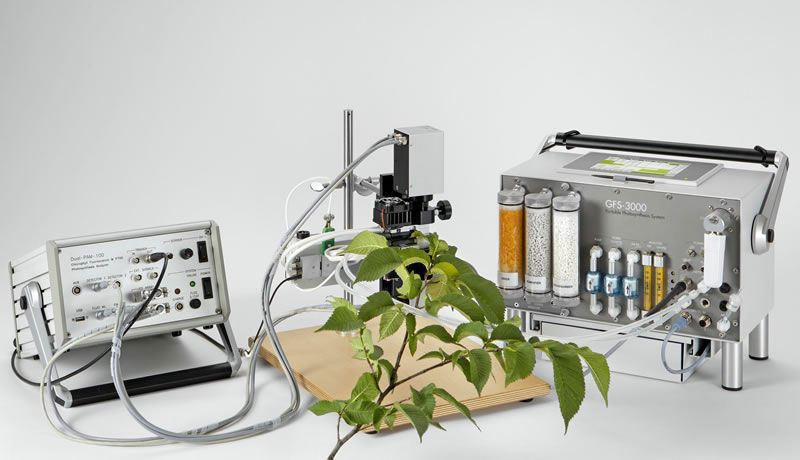 DUALPAM10021.jpg DUALPAM10021.jpg