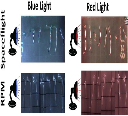 圖片6.png 圖片6.png