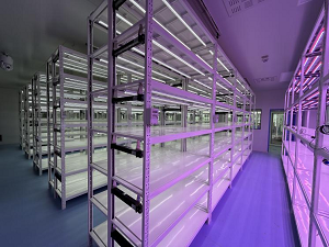 圖片8.png 圖片8.png